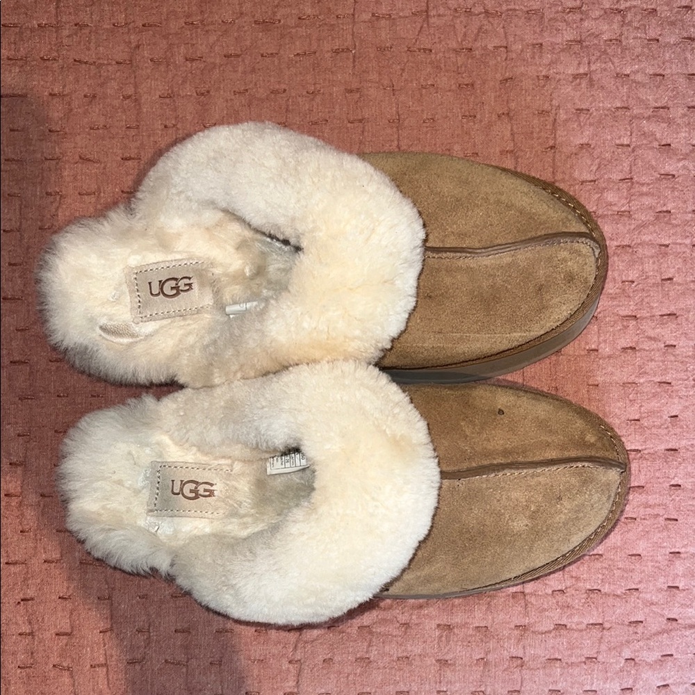 Women’s Platform UGGs